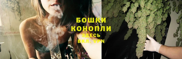 прущие грибы Волоколамск