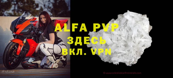 прущие грибы Волоколамск
