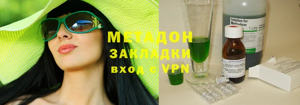 прущие грибы Волоколамск