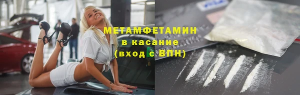 прущие грибы Волоколамск