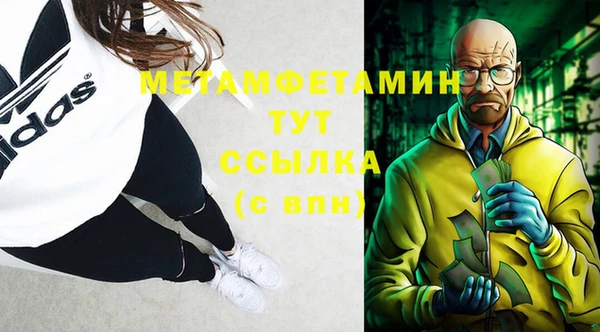 прущие грибы Волоколамск