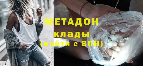 прущие грибы Волоколамск