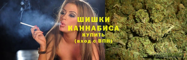 прущие грибы Волоколамск